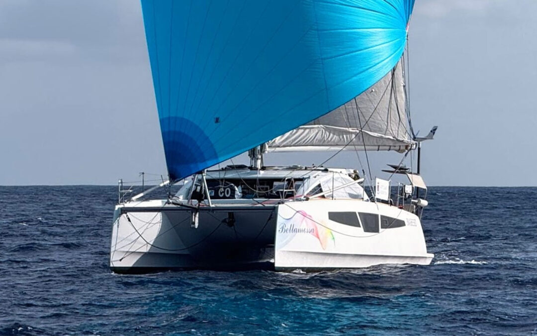 C-Cat 38