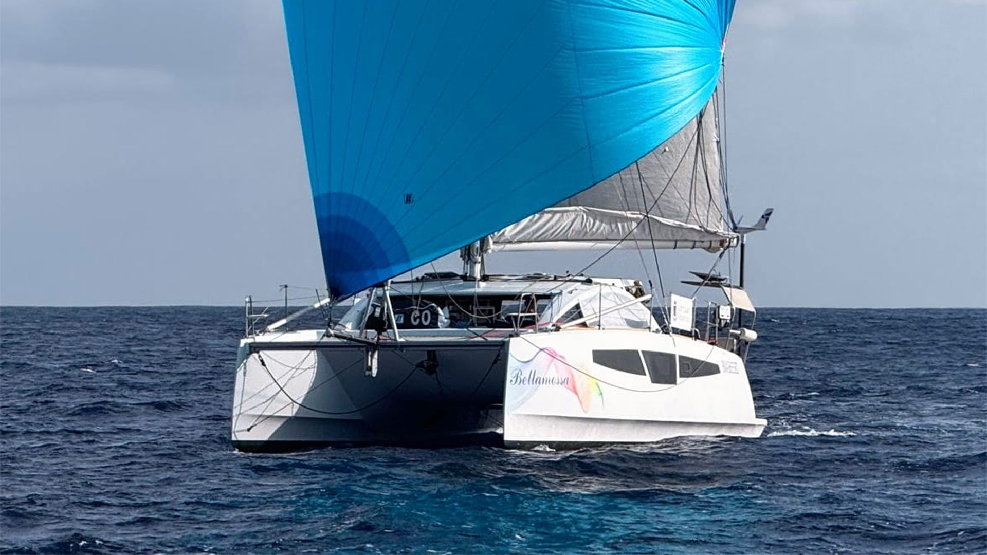 C-Cat 38