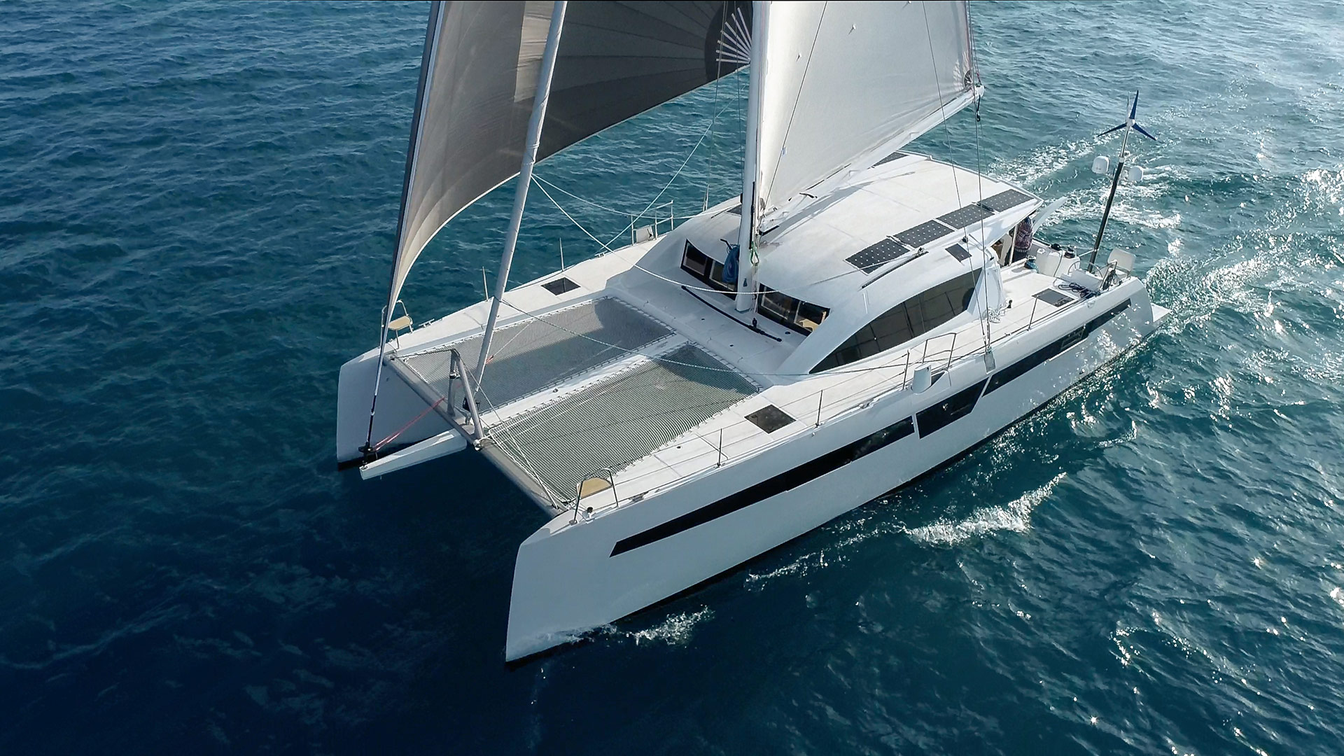 C-Cat 48